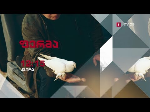 11 მარტი, 12:15 საათი - „ფერმა“